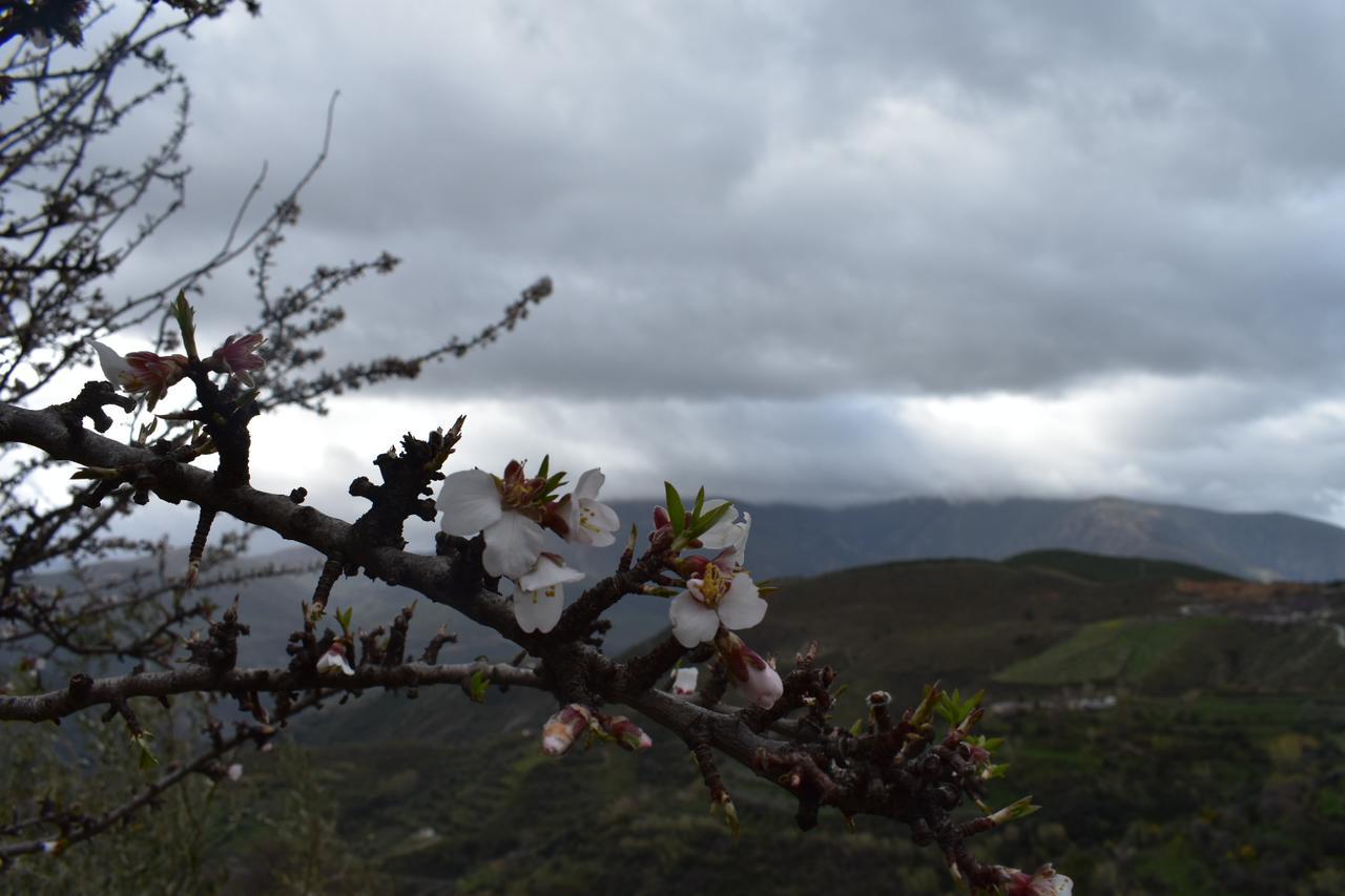 Dreams Alpujarra Pampaneira Exterior foto